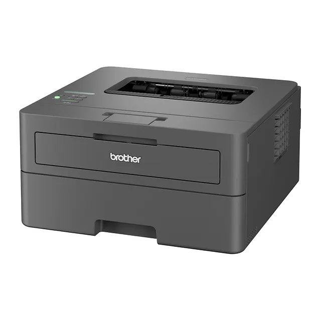 Brother HL-L2445DW, vista 5